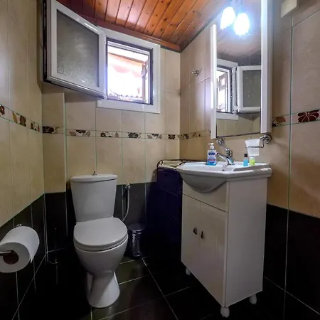 Manesko House アパート *